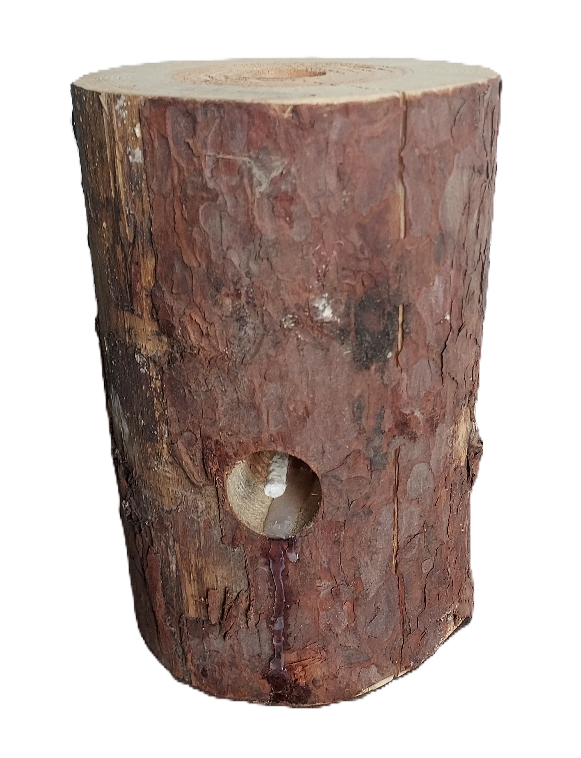 Woodson Citronella Schwedenfeuer 5 Stück Finnenfackel Baumfackeln