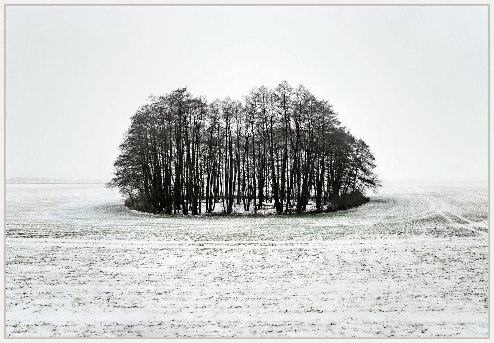 Island 1 by Hartwig Klappert - Limited Edition. Edition of: 100. Signed.