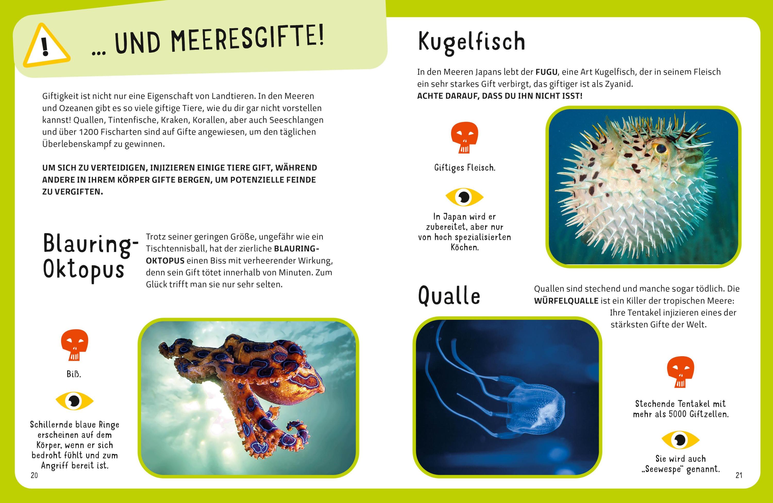 Die tödlichsten Tiere. Ein aufregendes Count-Down der gefährlichsten Tiere (Top Ten)