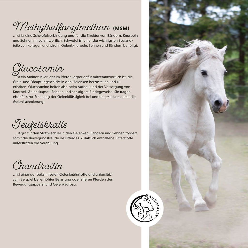 Annimally Bewegungsfreude - Nachfüllpackung