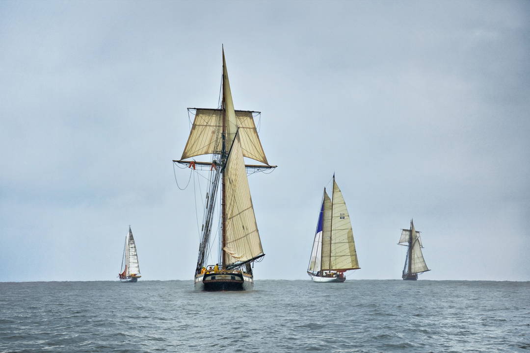 Schooners Racing on the Chesapeake Bay by Greg Pease - Limited Edition. Edition of: 100. Signed.