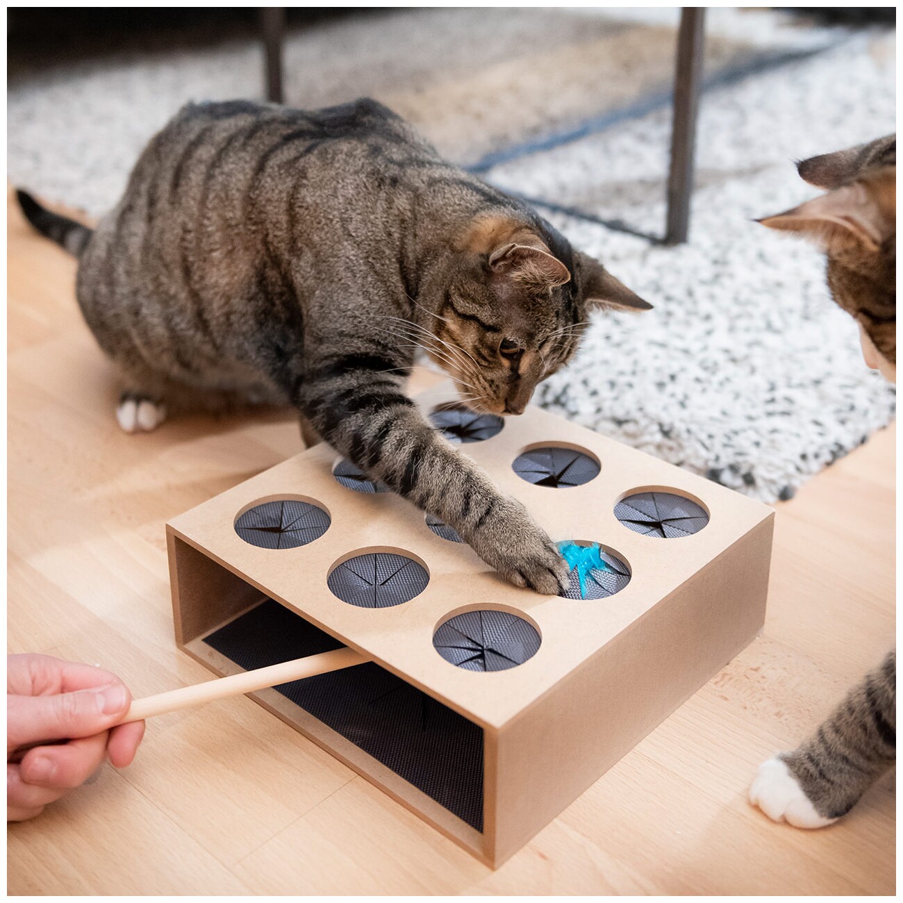 Canadian Cat Company Katzenspielzeug Fang die Maus