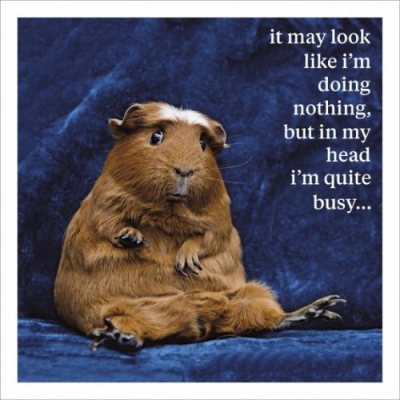 I May Look Like I'M Doing Nothing Card