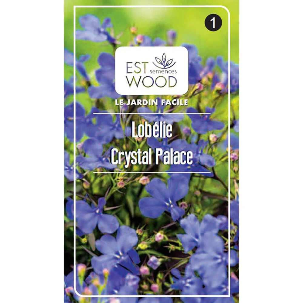 Semence Lobélie Crystal Palace 0,5g