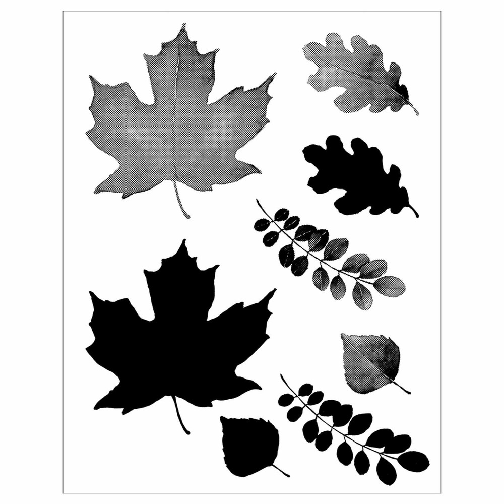 Tampons transparents - feuilles aquarelle