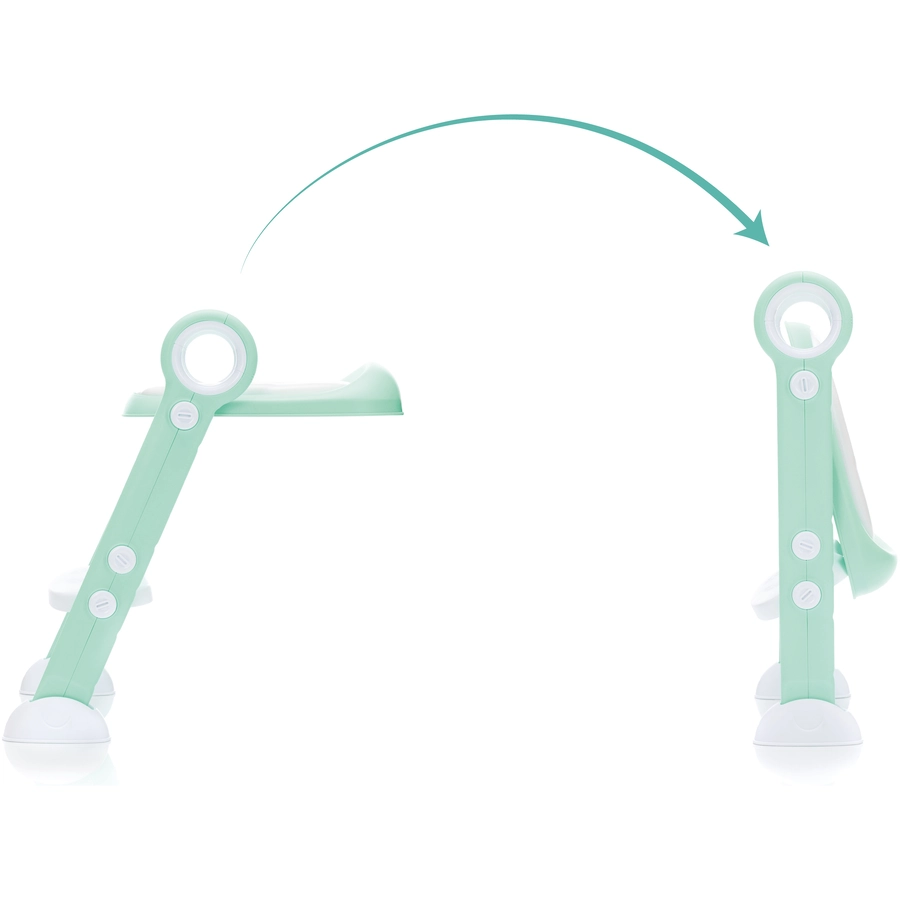 fillikid Toilet-Trainer Friend mint, PVC-Sitz VE3