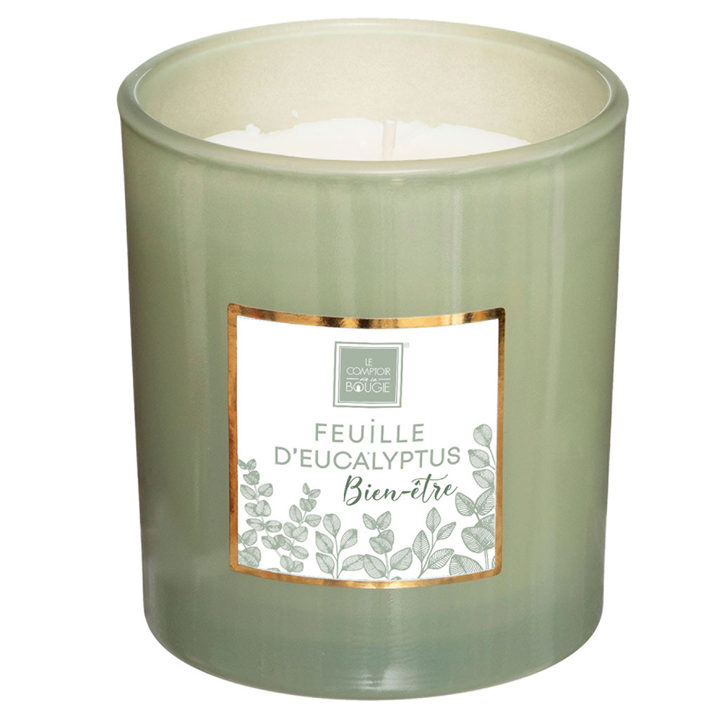 Bougie parfumée verre feuille d'eucalyptus 190g
