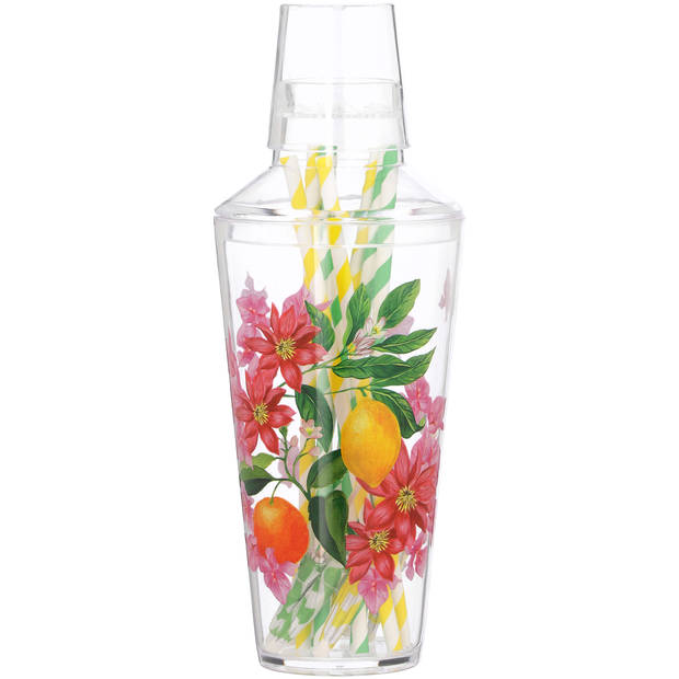 Blokker DF cocktailshaker met rietjes
