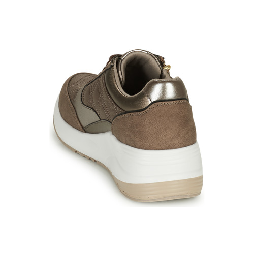 Xti -  - Marron