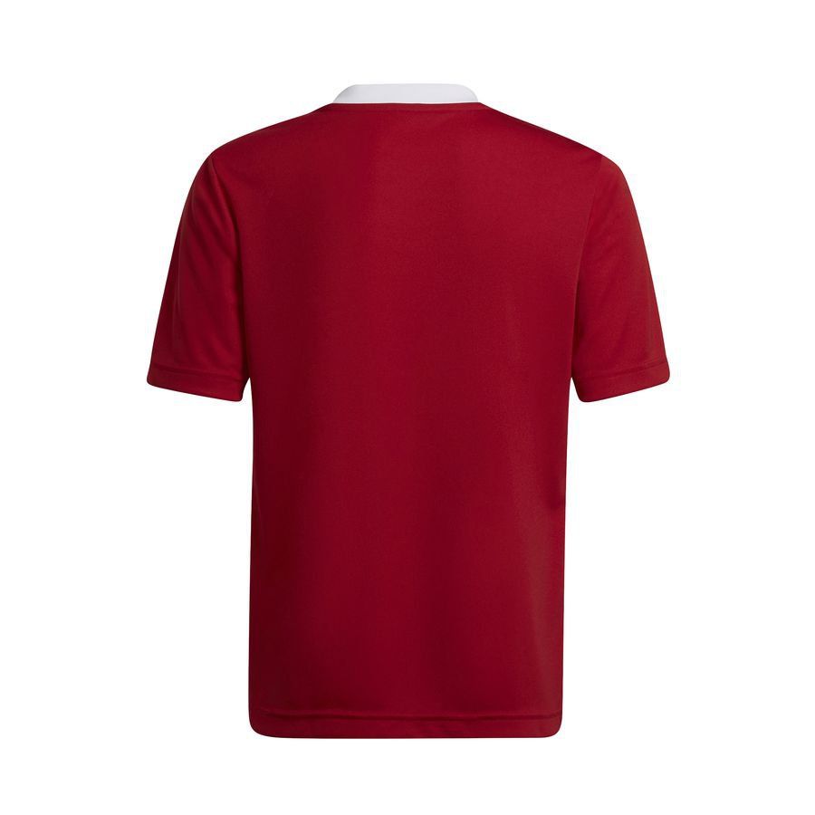 adidas T-shirt d'Entraînement Entrada 22 - Rouge/Blanc Enfant