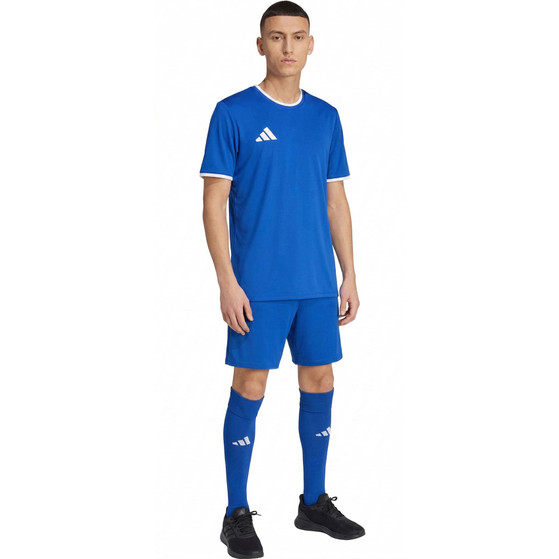 adidas Entrada 26 Trainingsset