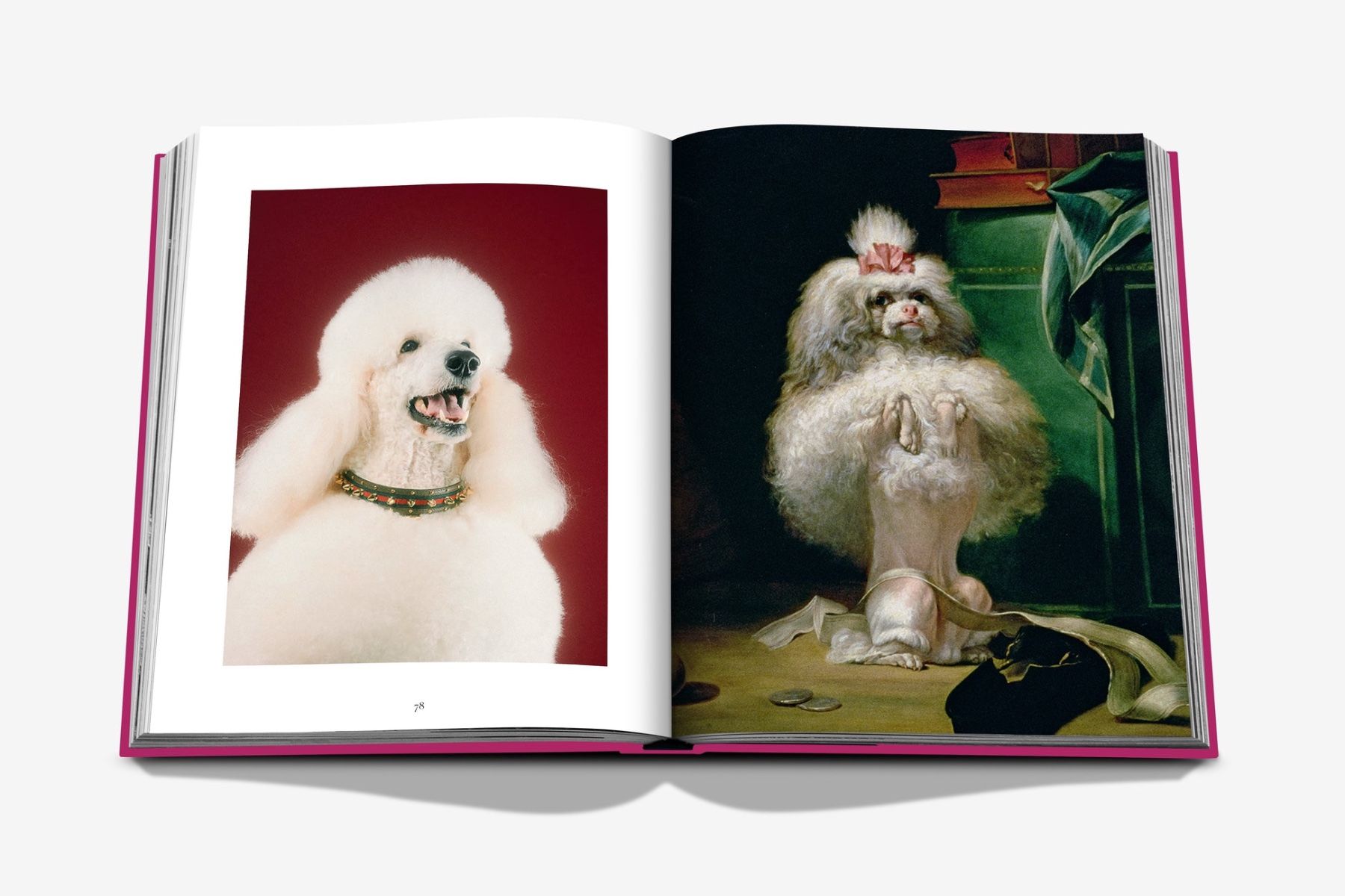 Assouline Chic Dogs