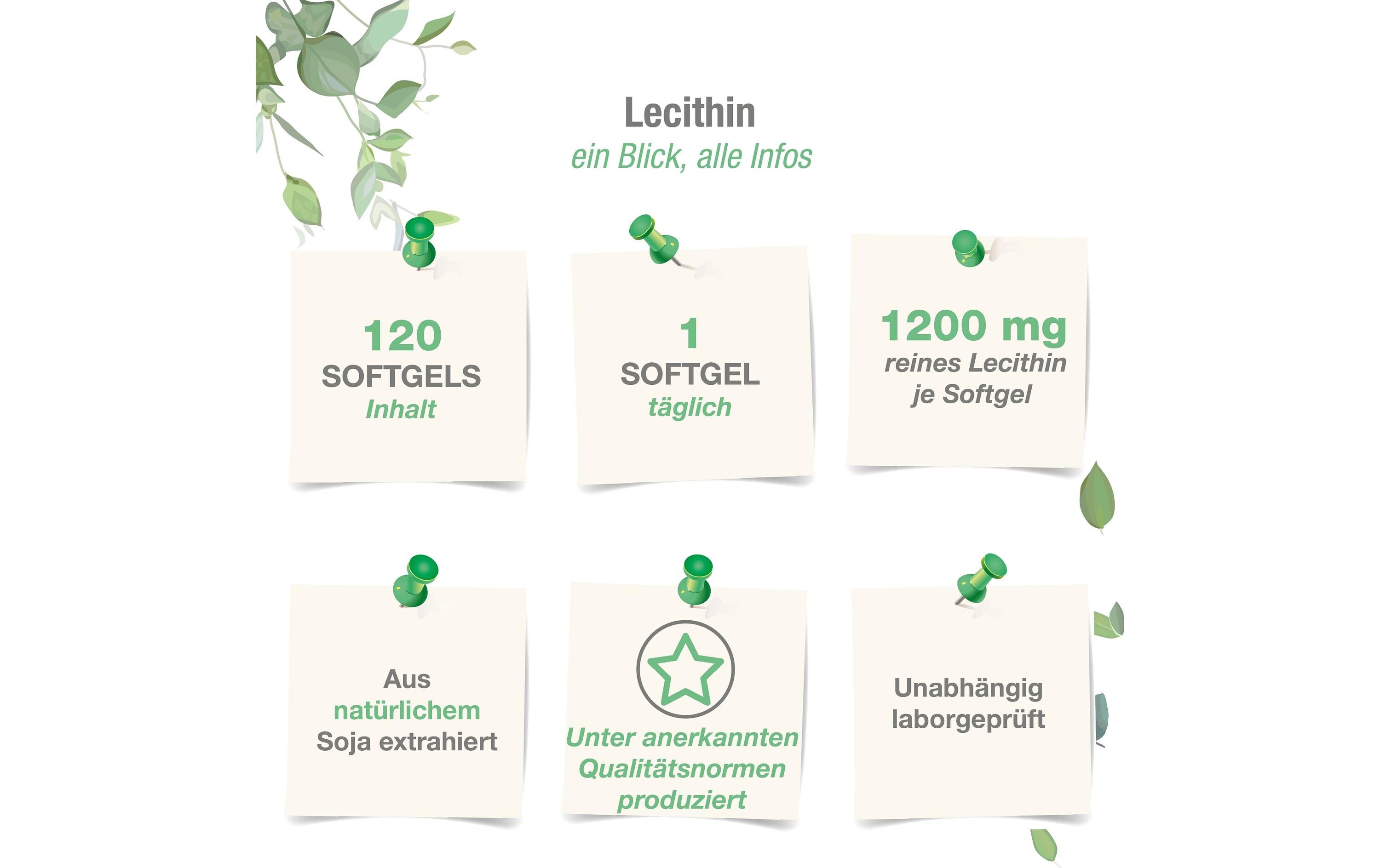 Lecithin 1200 mg vegan 120 WeichkapselnVeganes Nahrungsergänzungsmittel
