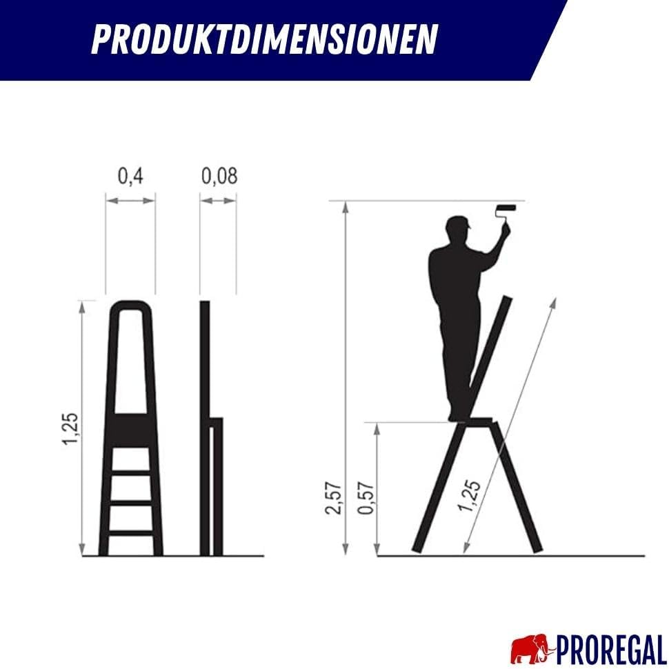 PROREGAL Economy Basic Trapladder, Gemaakt van Hoogwaardig Staal, Enkelzijdig Opstapbaar, 3 Treden, Werkhoogte 2,57 m, Draagvermogen 125 kg, Antraciet
