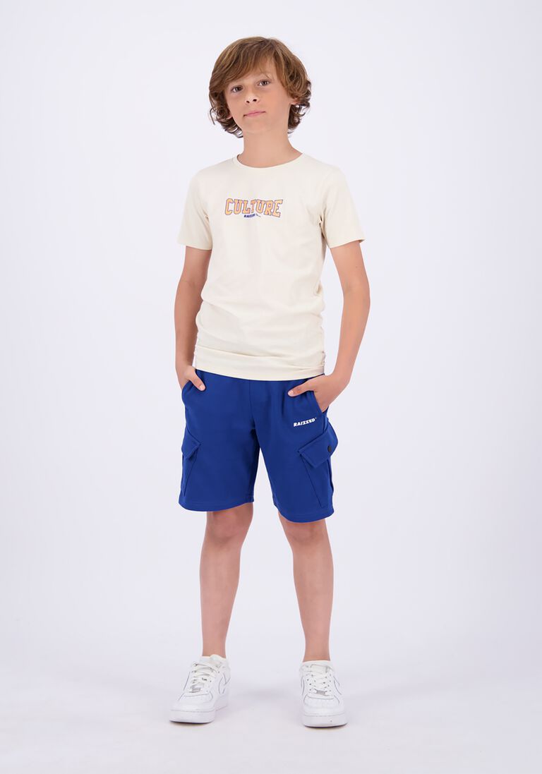 RAIZZED lichtgrijze raizzed t-shirt sheridan