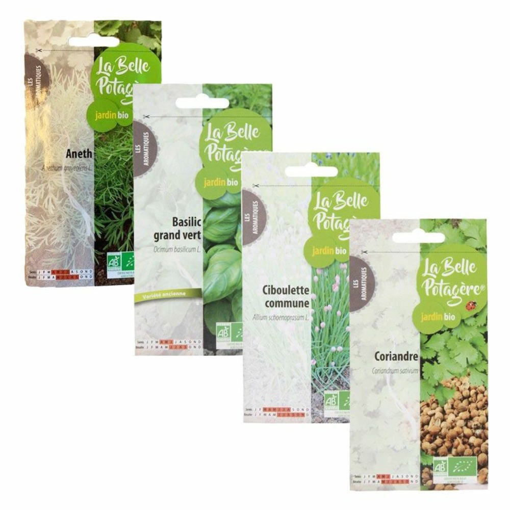 Coriandre, ciboulette, basilic, aneth - 4 sachets de graines à semer
