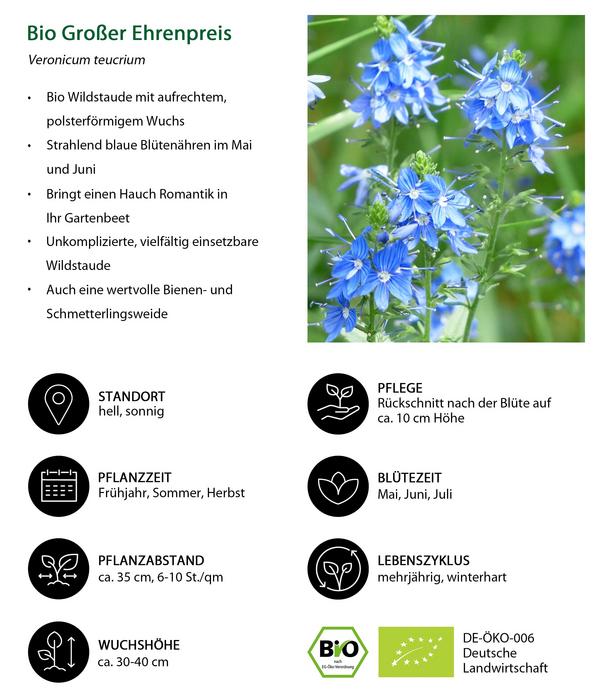 Bio Großer Ehrenpreis
