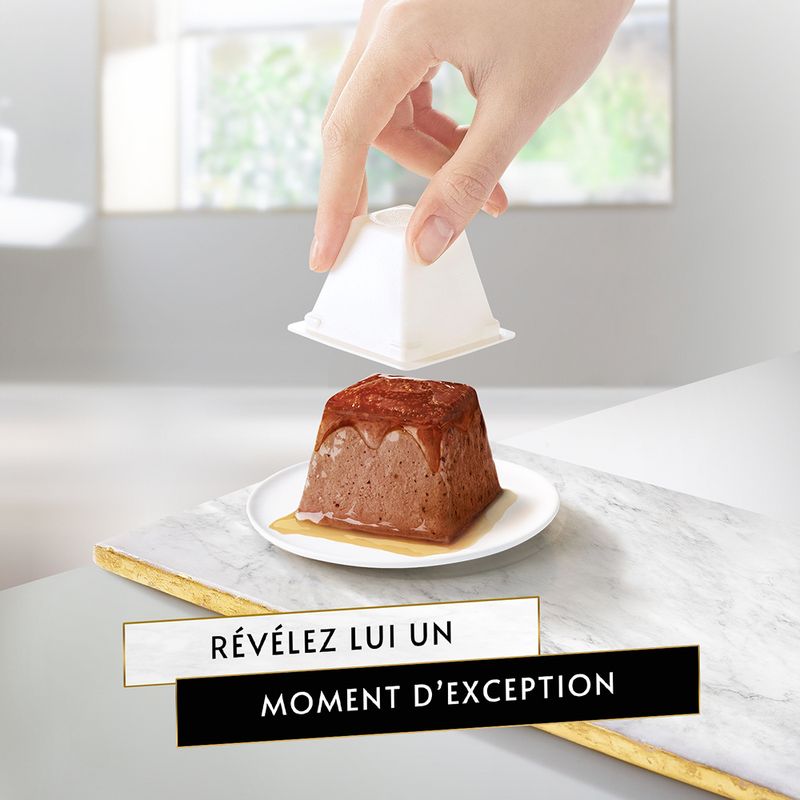 Lot Gourmet Revelations Mousseline 24 x 57 g