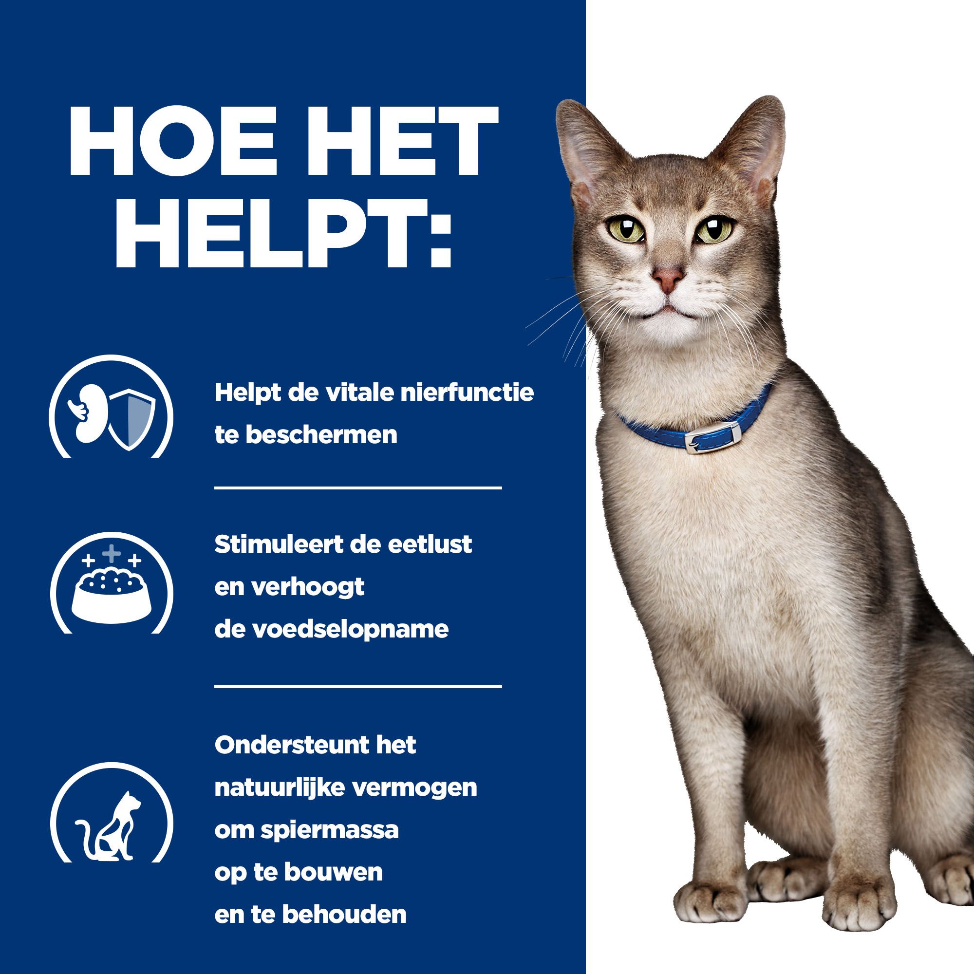 Hill's k/d Kidney Care - Prescription Diet - Feline - Blik - Kip