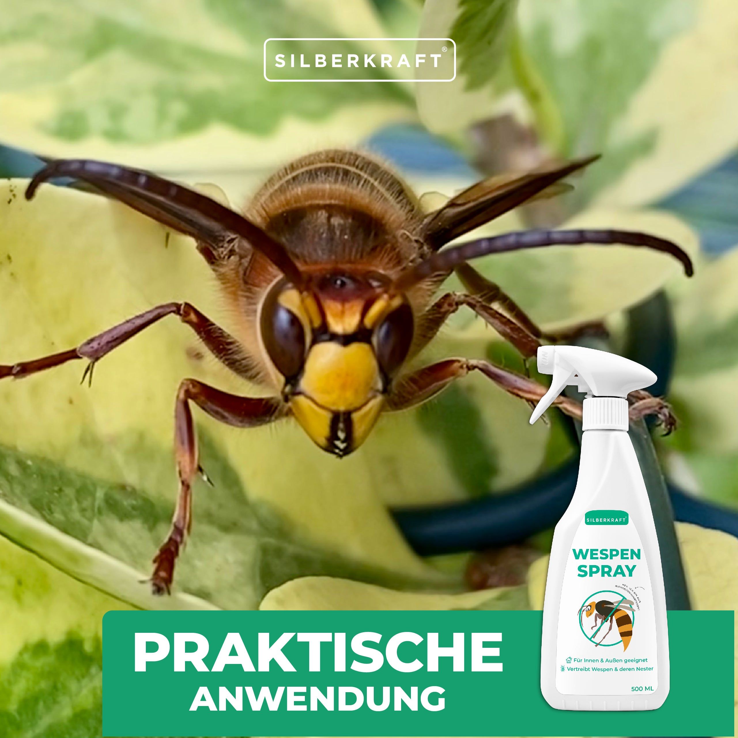 SILBERKRAFT Wespenspray