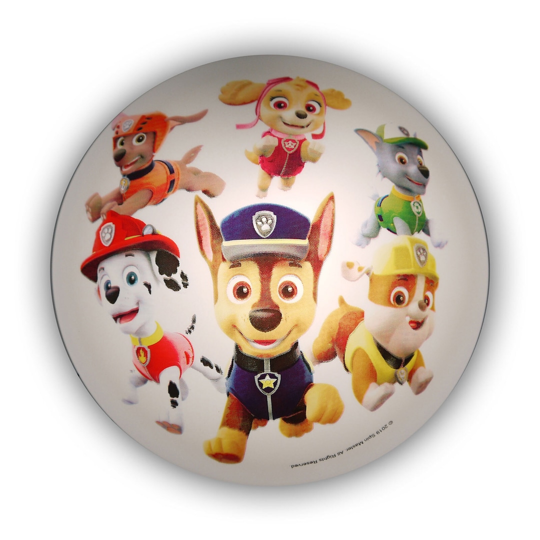 niermann Retrofit Kinderlampe Decke Paw Patrol