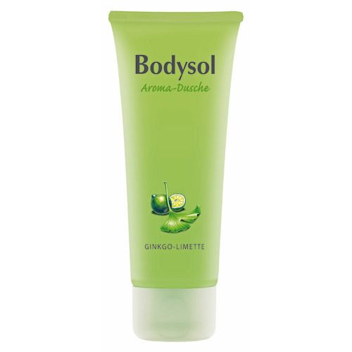 Bodysol Aromadusche Ginkgo-Limette