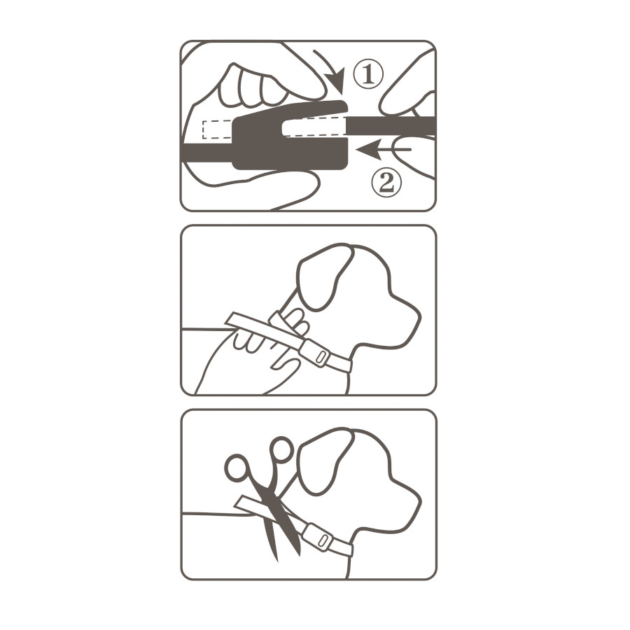 Coleira antipulgas e carrapatos Beaphar Canishield para cães de pequeno e médio porte.