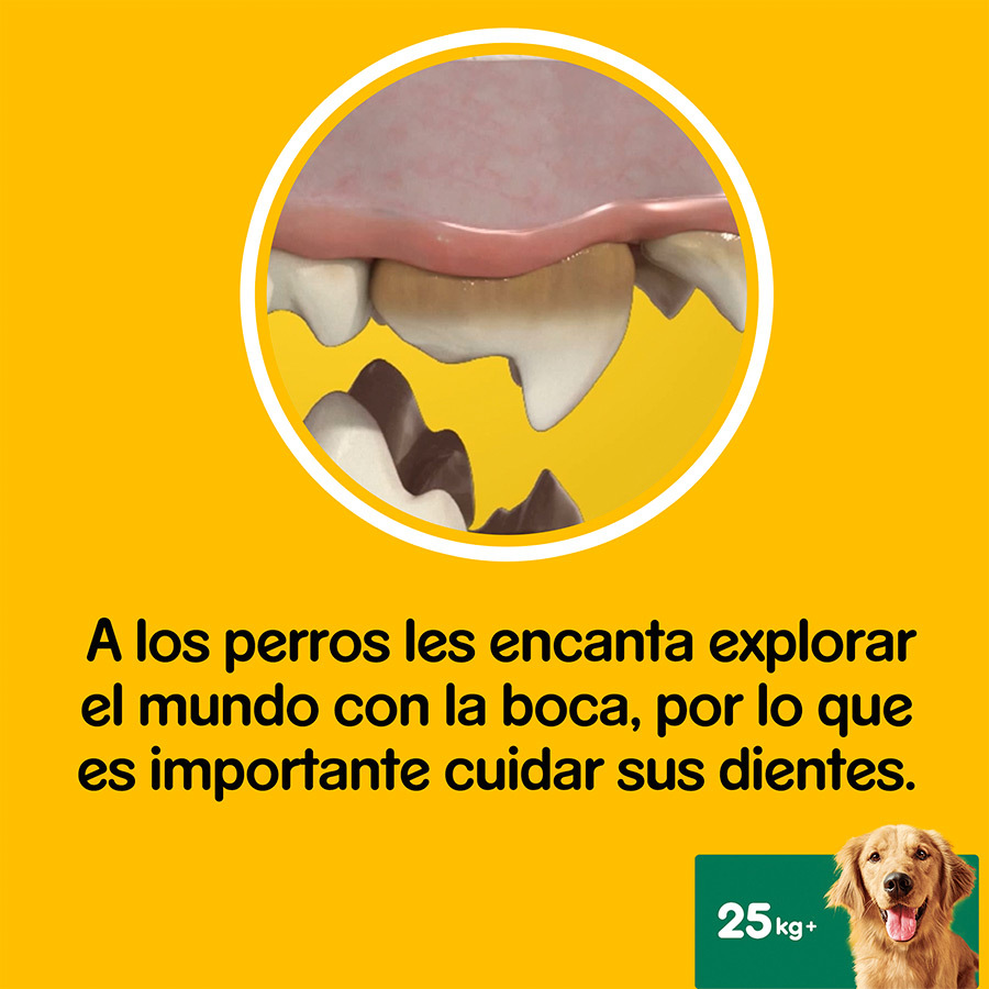 Petiscos Dentais Pedigree Dentastix para Cães de Grande Porte