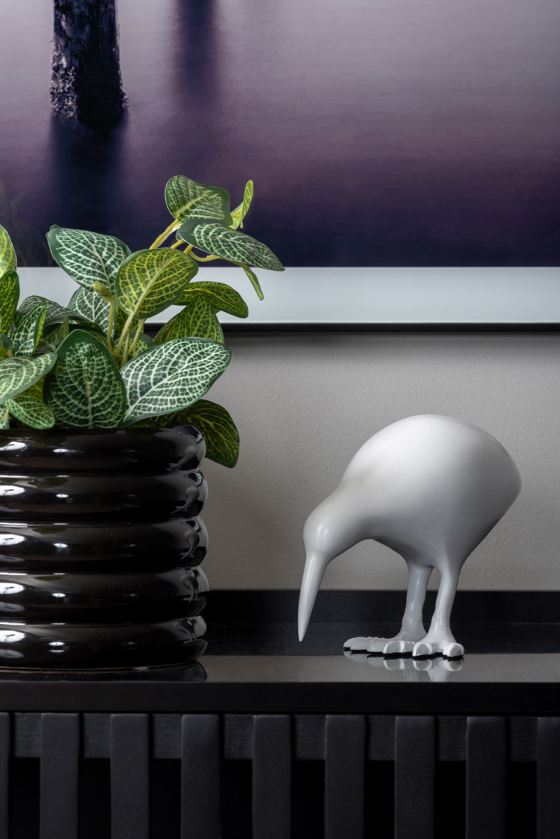 Statue Kiwi Bird PT4019BK Black