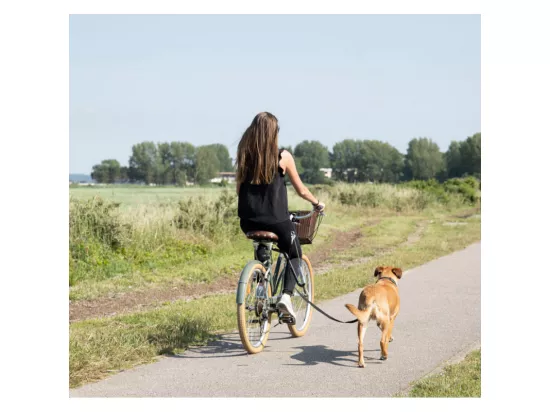 Kit d'accroche vélo avec laisse pour chien - Noir - 48 cm