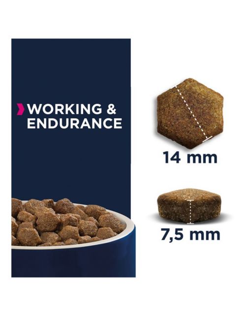 Eukanuba Daily Care Adult Working & Endurance - Hondenvoer