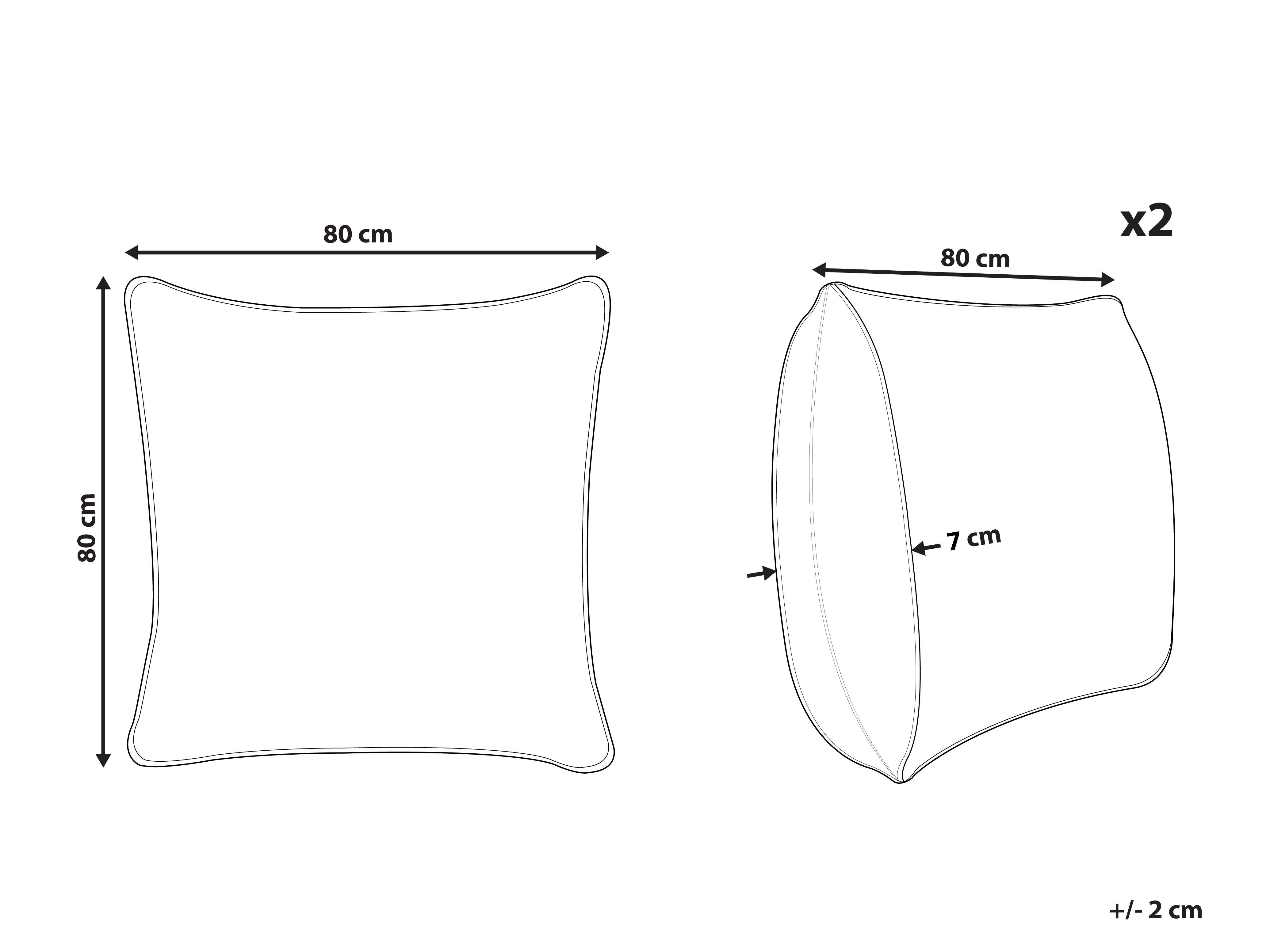 Set van 2 kussens PELISTER Laag Microvezel 80 x 80 cm Wit