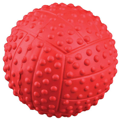 Trixie Sportball mit Quietscher