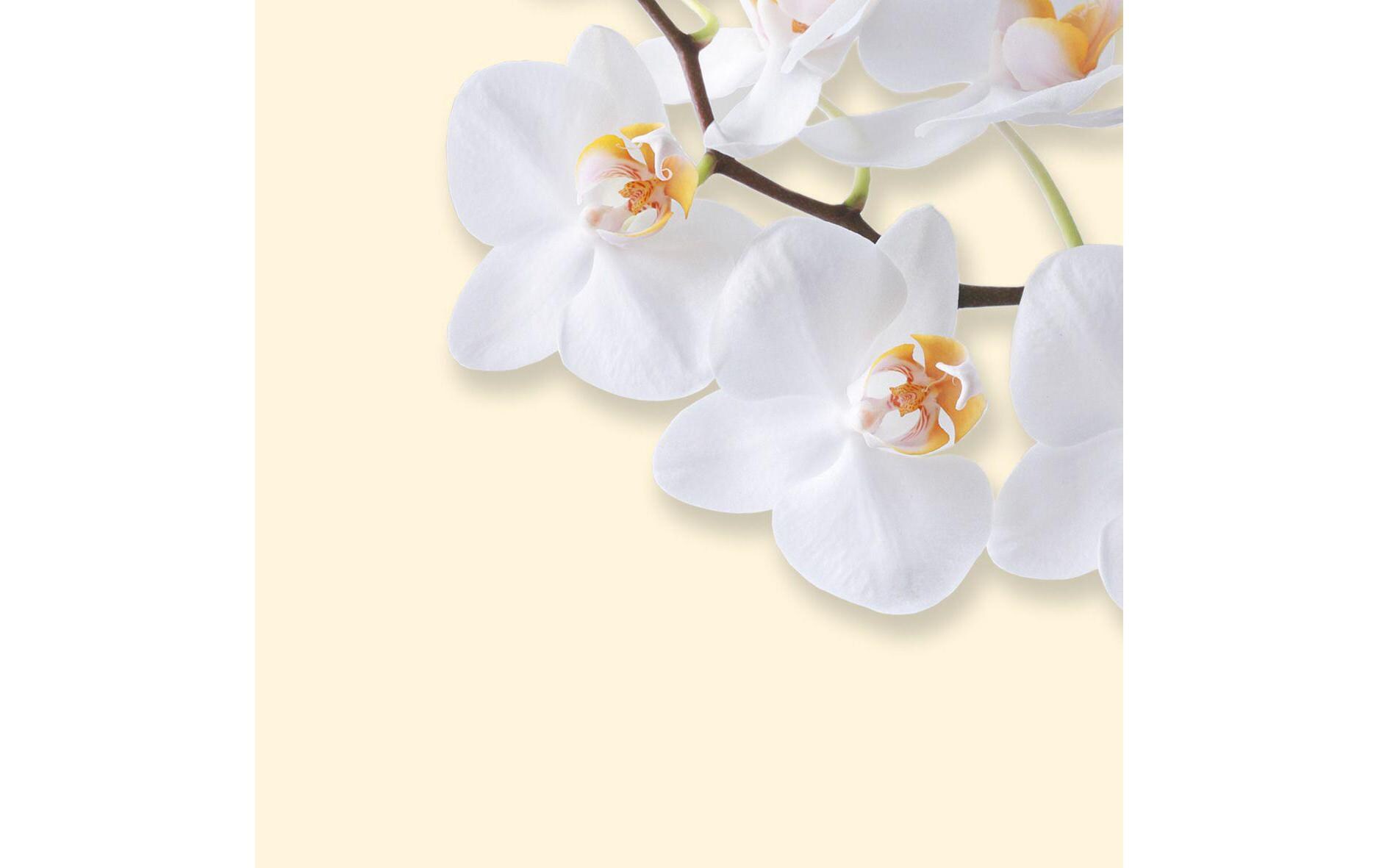 Motivpapier White Orchid A4, 50 BlattHochwertiges Briefpapier