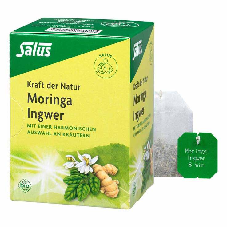 Moringa Ingwer Kräutertee Kraft der Natur Salus, 15 St