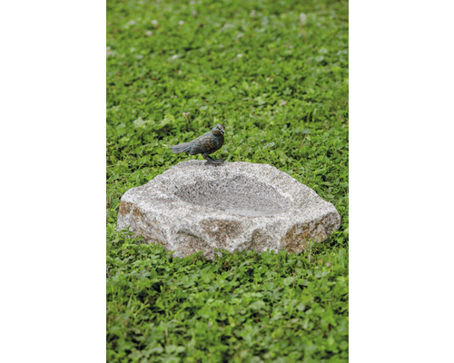 Tuinbeeld Rottenecker vogelbad en bronzen vogel op granieten steen