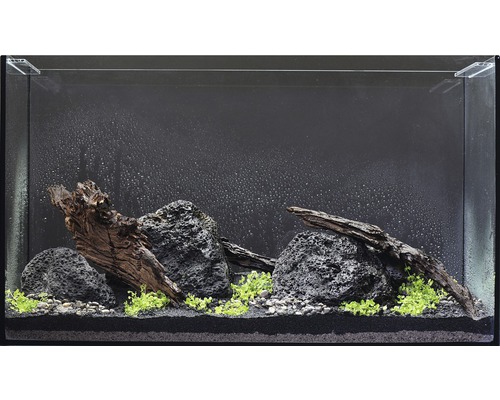 Aquarium waterplantenpakket M 