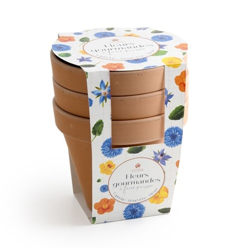 Fleurs comestibles à faire pousser