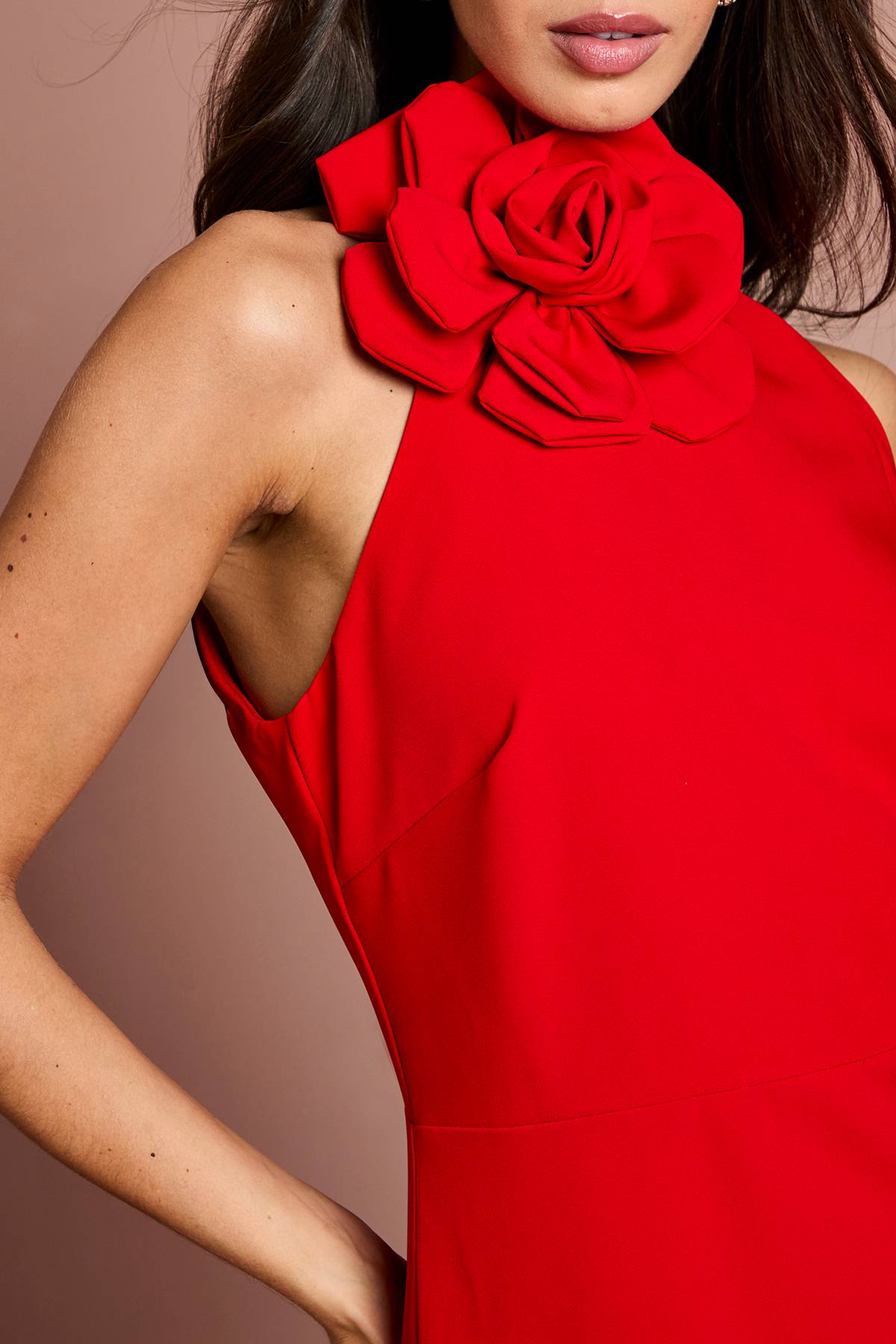 Coast Robe Mi-Longue à Col Montant avec Détail Corsage