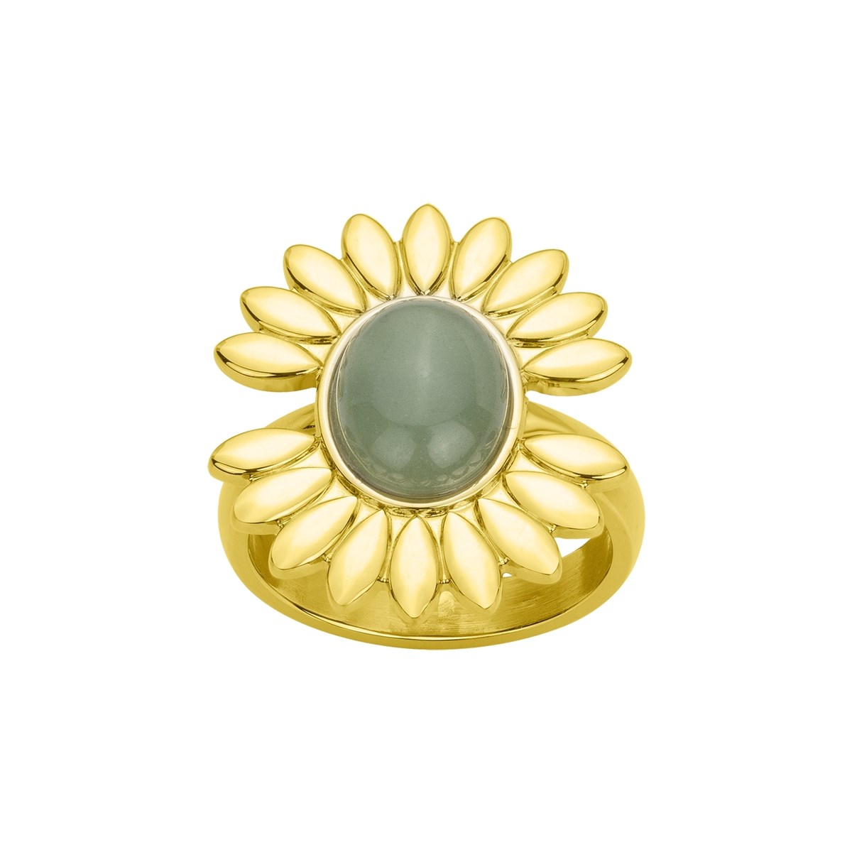 Bague en Acier