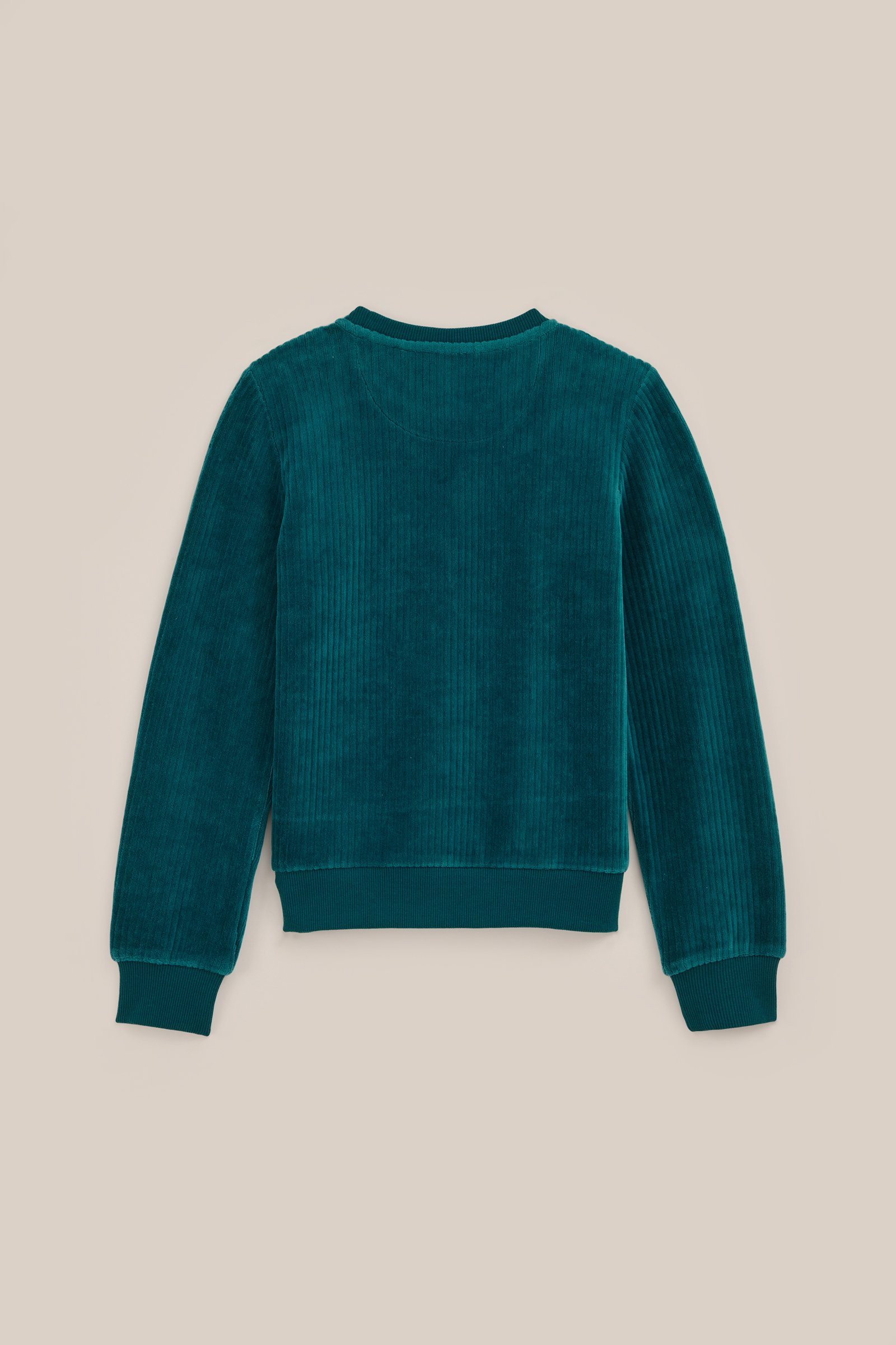 Meisjes velvet sweater met ruches WE Fashion Mosgroen