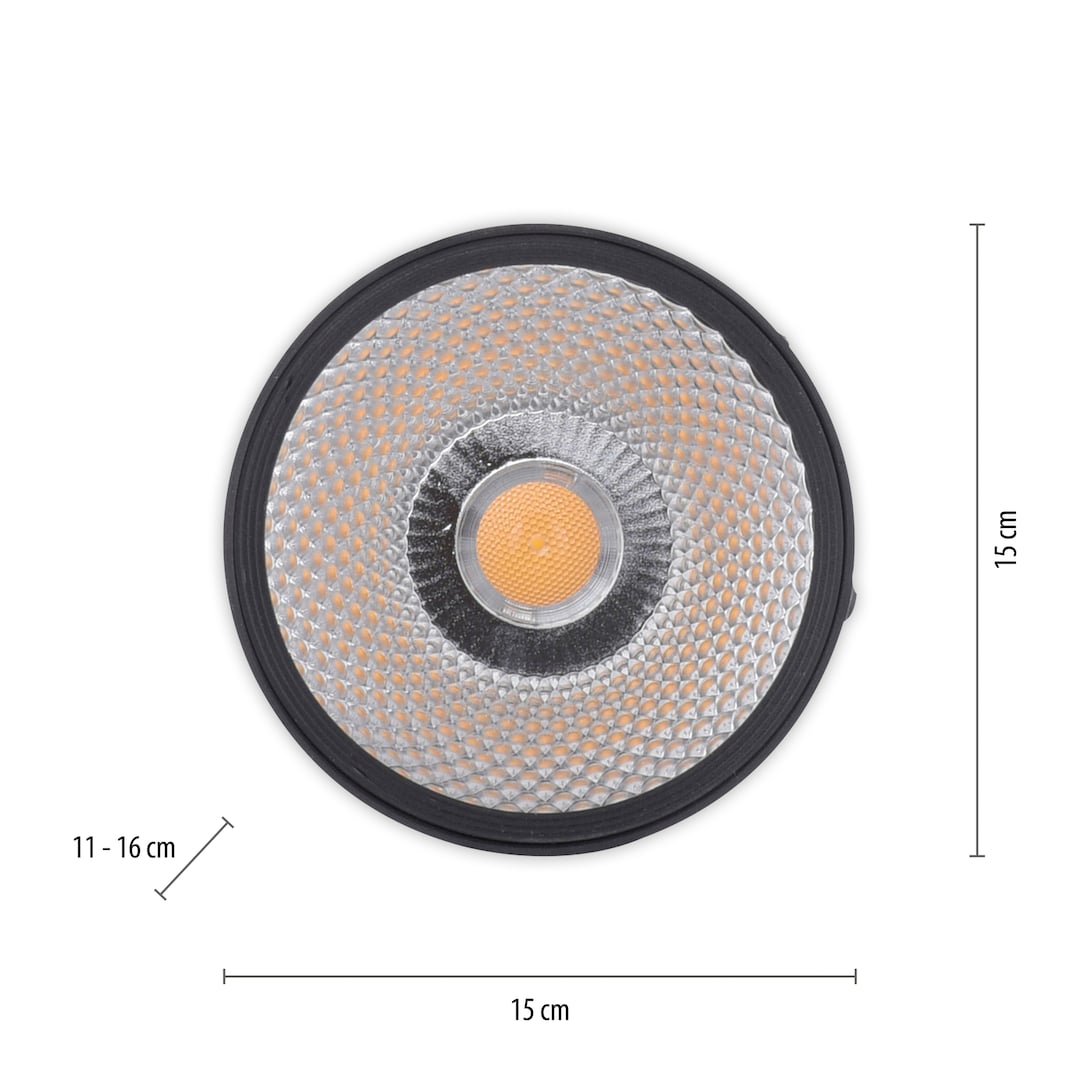 Paul Neuhaus LED Deckenlampe mit 1 Spots PURE-NOLA 15 cm schwarz