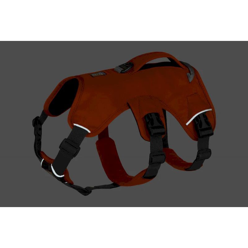 Web Master Harness - Harnais pour chien