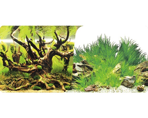 Fotoachtergrondmotief 10 60x30 cm