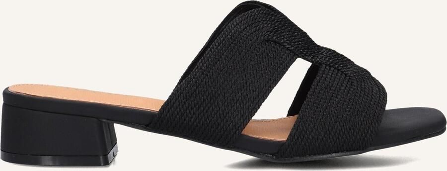 AYANA Slippers Dames 0325-8 Maat: 36 Materiaal: Raffia Kleur: Zwart