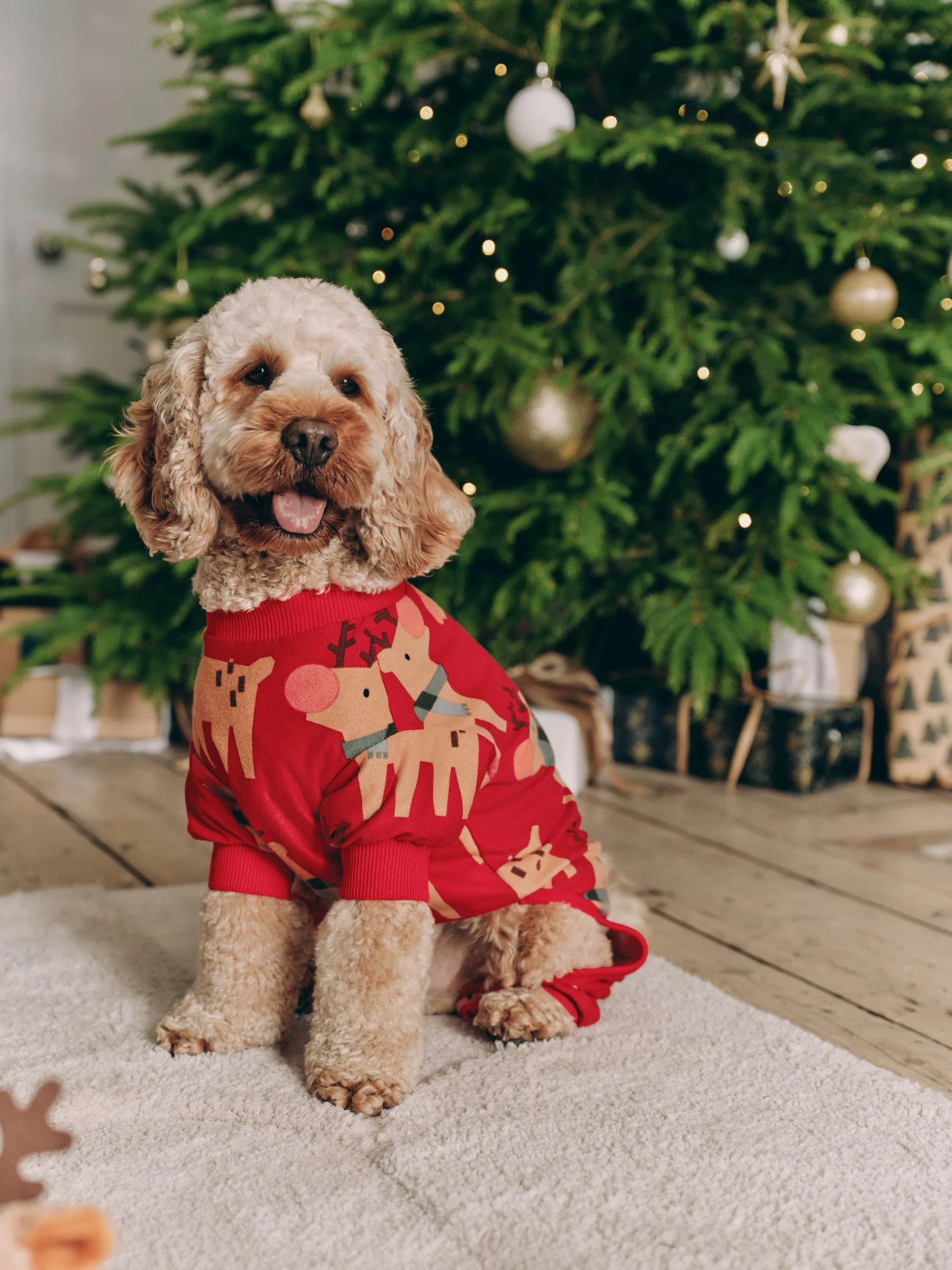 Rood - Matching Family kerstpyjama met rendier voor huisdieren