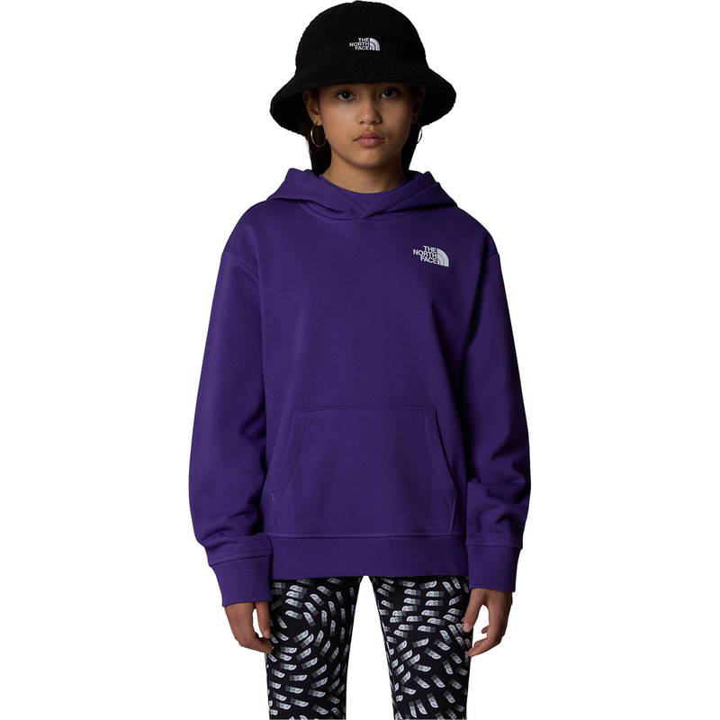 The North Face Vertical Graphic Oversized Hættetrøje Børn