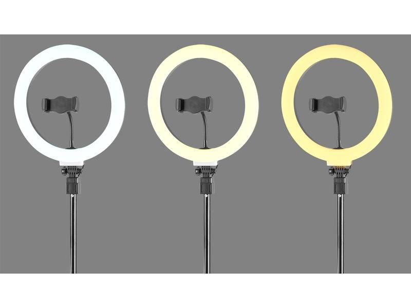 Vonyx Videoleuchte RL25 Ringlicht-Set 25 cm Ringleuchte mit Kontroller