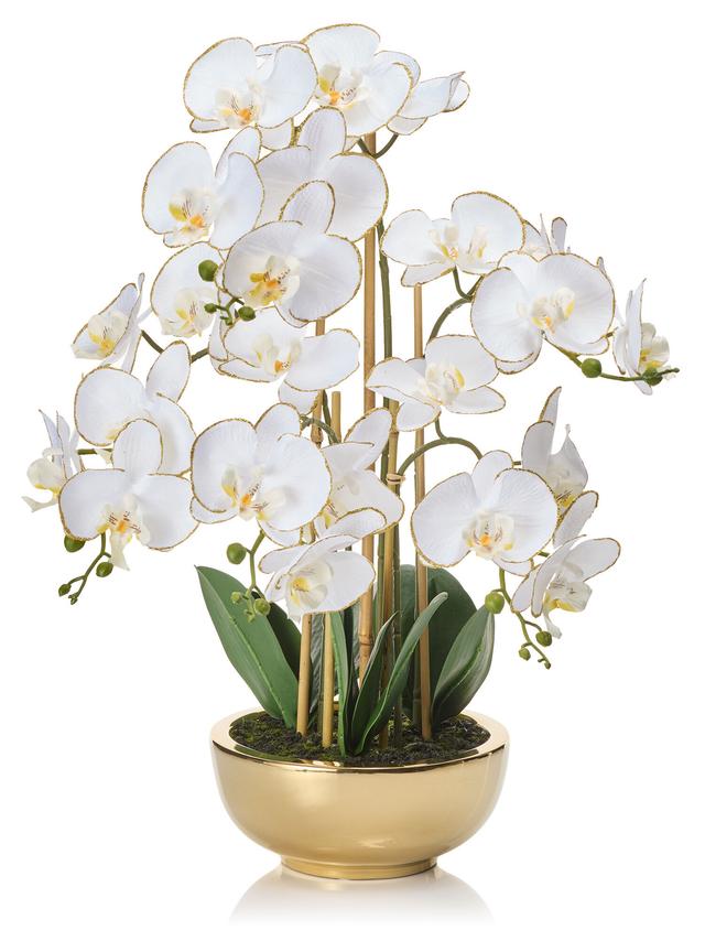 Phalaenopsis in Keramikschale gold 20x9cm