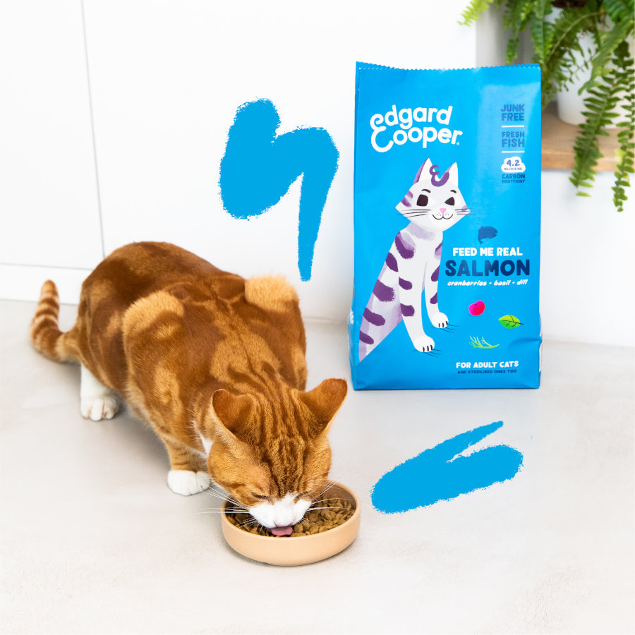 Ração para gatos adultos Edgard & Cooper com salmão